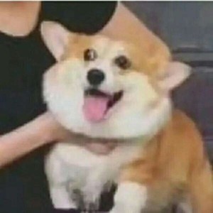 whatsapp添加国外好友 whatsup聊天軟件安卓版  whatsapp添加国外好友 whatsup聊天軟件安卓版