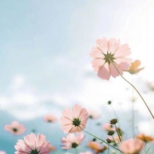 越南whatsapp网页版营销 whatsapp网页版好友列表在哪里 越南whatsapp网页版营销 whatsapp网页版好友列表在哪里