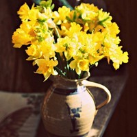 whatsapp 安装包 whatsapp安装包免费下载  whatsapp 安装包 whatsapp安装包免费下载