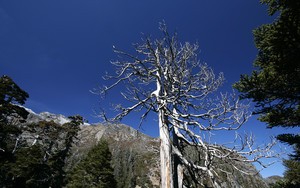 whatsapp网页版 电脑版怎么添加好友 whatsapp網頁版Messenger安卓端 