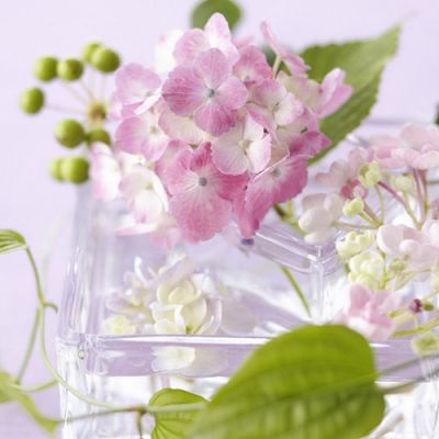 whatsapp全版本下載安裝 whatsapp網頁版獲客軟件排名 