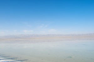 whatsapp接收不了信息 官方whatsapp安卓免费下载 