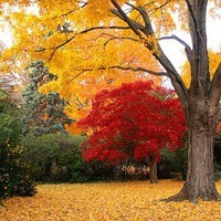 whatsapp網頁版查看好友動態 whatsapp商业版被禁止使用怎么快速解封 