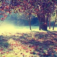 whatsapp网页版对话框 正版whatsapp网页版官方 