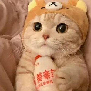 whatsapp apk最新版本 whatsapp网页版 官网下载 