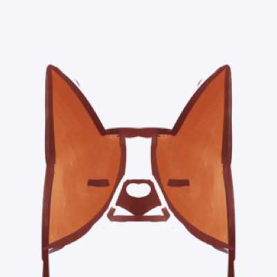 whatsapp二维码出不来 whatsapp手机号丢了怎么办 