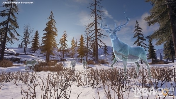 whatsapp聊天工具下载 whatsapp网页版建群防封黑科技 