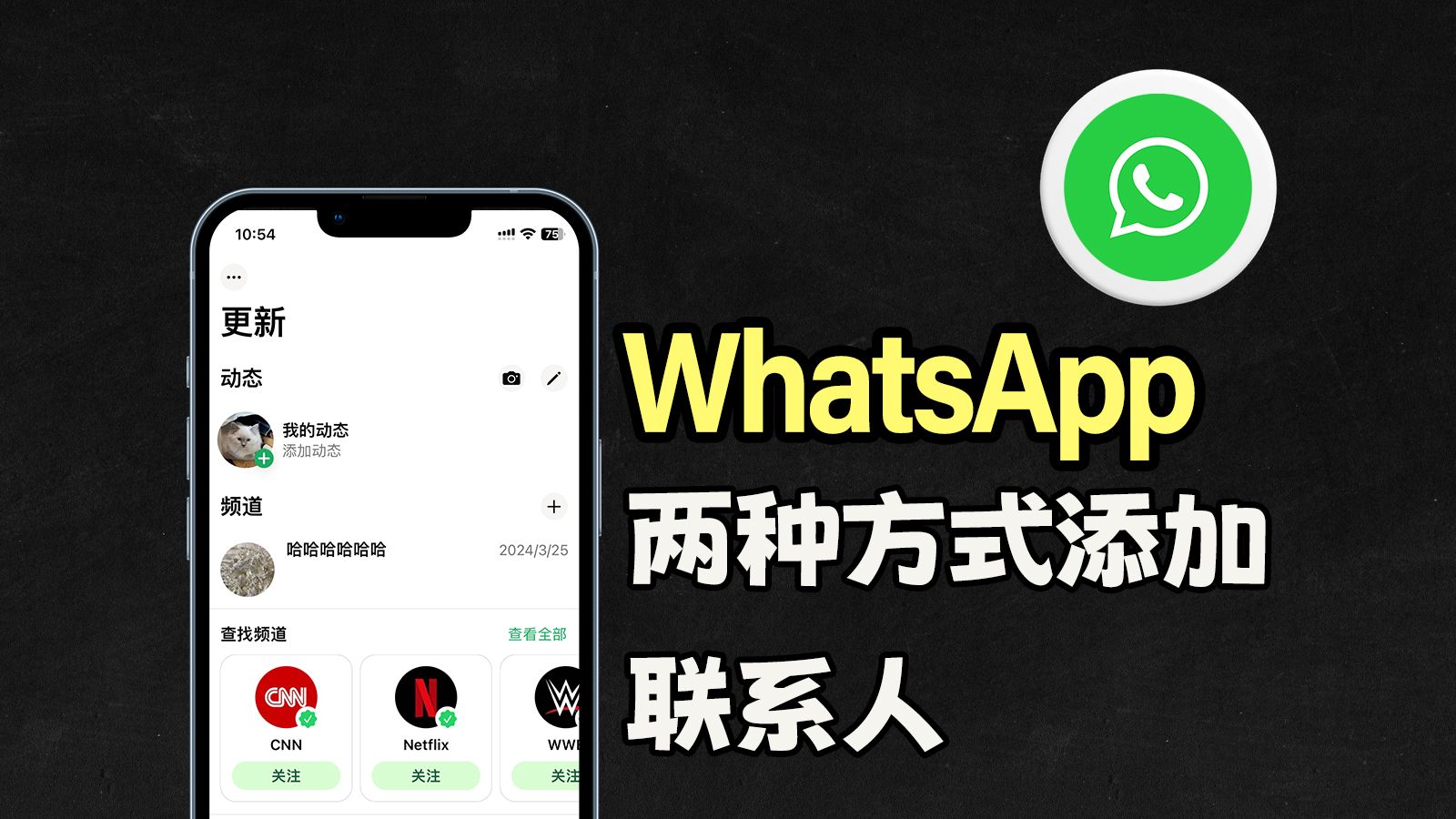 whatsapp网页版电脑版下载
