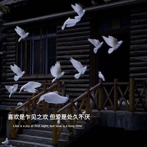 whatsapp不能打电话,呼叫无应答 手机怎么登录whatsapp网页版 