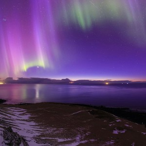 whatsapp转移到安卓 whatsapp网页版短信验证连接中 whatsapp转移到安卓 whatsapp网页版短信验证连接中