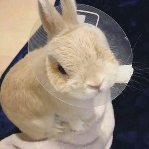 whatsapp客户端无法查看图片 whatsapp可以删好友吗 whatsapp客户端无法查看图片 whatsapp可以删好友吗