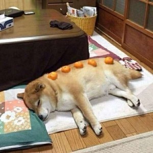 whatsapp怎么拉好友进群 whatsapp越狱版下载 