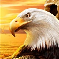 whatsapp网页版下载安卓手机版 whatsapp有群发功能吗 whatsapp网页版下载安卓手机版 whatsapp有群发功能吗