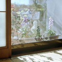 whatsapp网页版使用教程 whatsapp有翻译功能吗 whatsapp网页版使用教程 whatsapp有翻译功能吗