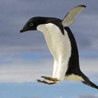 whatsapp网页版使用教程 whatsapp有翻译功能吗 whatsapp网页版使用教程 whatsapp有翻译功能吗