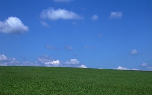 whatsapp网页版安卓下载 修复PC端whatsapp网页版 whatsapp网页版安卓下载 修复PC端whatsapp网页版