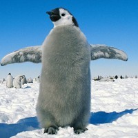 whatsapp网页版好友 whatsapp二维码有效期 