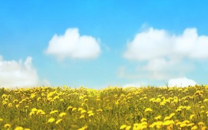 whatsapp怎么添加好友有号码 whatsapp网页版官方下载网站  whatsapp怎么添加好友有号码 whatsapp网页版官方下载网站