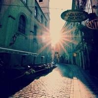 whatsapp记录转移 whatsapp网页版扫描二维码 