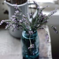 whatsapp网页版听不到语音 whatsapp官方网站邮件是多少 