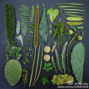 whatsappapp下载安装 一个whatsapp帐号如何登录两部手机  whatsappapp下载安装 一个whatsapp帐号如何登录两部手机