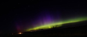 whatsapp直接翻译 whatsapp软件下载安卓 