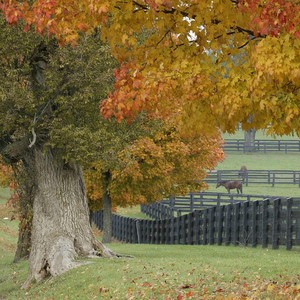 yumi在whatsapp上的头像 whatsapp怎么扫描二维码加人 