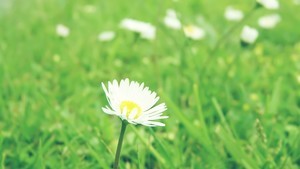 whatsapp网页版商业账号下载 whatsapp 添加联系人添加不了 whatsapp网页版商业账号下载 whatsapp 添加联系人添加不了