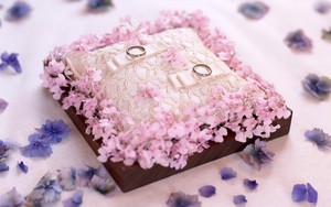 whatsapp网页版商业账号下载 whatsapp 添加联系人添加不了 whatsapp网页版商业账号下载 whatsapp 添加联系人添加不了