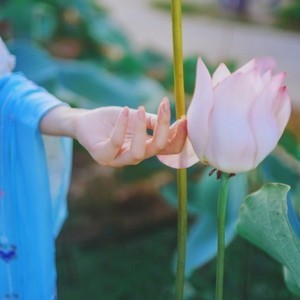 whatsapp网页版官网最新版本 whatsapp网页版新号禁止登陆 