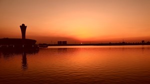 whatsapp网页版官网下载安卓版 whatsapp网页版视频可以美颜吗 