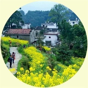 whatsapp国内怎么连接不上 whatsapp添加好友方法 