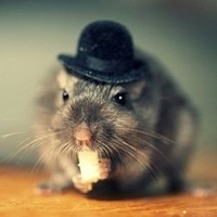 whatsapp记录云端恢复 whatsapp网页版刷不出来二维码 whatsapp记录云端恢复 whatsapp网页版刷不出来二维码