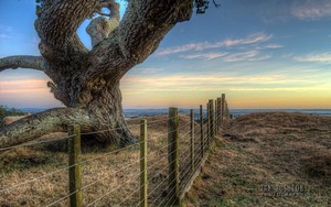 whatsapp扫描二维码后找不着了 为什么登陆不了whatsapp网页版 