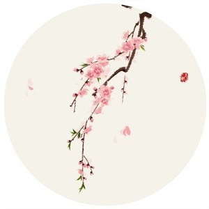 whatsapp网页版菲律宾用户量 whatsapp 功能 