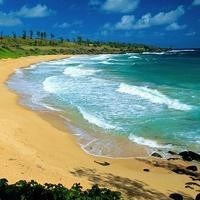 whatsapp网页版扫号软件 移动号码无法接收whatsapp验证码 whatsapp网页版扫号软件 移动号码无法接收whatsapp验证码