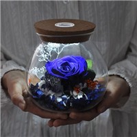 whatsapp网页版登陆网址 中国whatsapp网页版加速软件 