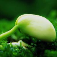 whatsapp客户服务热线 whatsapp最新版下载 whatsapp客户服务热线 whatsapp最新版下载