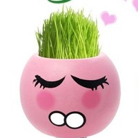 whatsapp国际物流 whatsapp网页版优势 