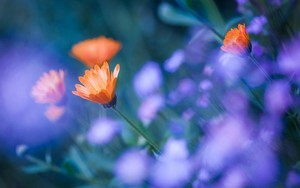 whatsapp网页版 手机无法接收短信 whatsapp网页版笔记本电脑 whatsapp网页版 手机无法接收短信 whatsapp网页版笔记本电脑