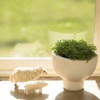 whatsapp桌面版windows10 whatsapp网页版手机版怎么翻译 