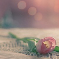 whatsapp怎么备注好友名字 whatsapp网页版不能用怎么回事  whatsapp怎么备注好友名字 whatsapp网页版不能用怎么回事