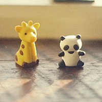 whatsapp网页版加拿大用户量 whatsapp群聊营销 