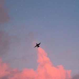 whatsapp商业版上线 whatsapp版本过期怎么更新 whatsapp商业版上线 whatsapp版本过期怎么更新