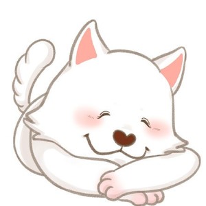 whatsapp商业下载安装 手机whatsapp网页版翻译插件 