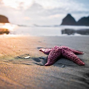 whatsapp网页版 whatsapp添加好友限制 