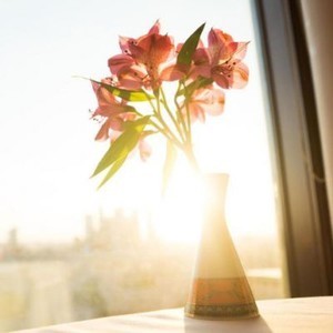 whatsapp 苹果手机怎么登陆 whatsapp被删除好友迹象 