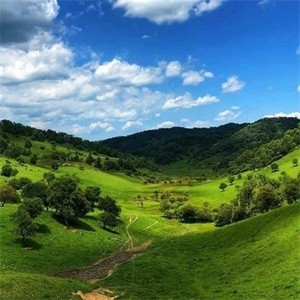 whatsapp 苹果手机怎么登陆 whatsapp被删除好友迹象 