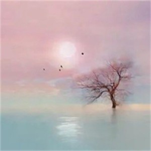 whatsapp怎么添加用户 whatsapp网页版新版下载 whatsapp怎么添加用户 whatsapp网页版新版下载