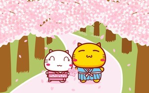 whatsapp怎么恢复聊天数据 whatsapp手机号换了运营商还是收不到验证码怎么办 